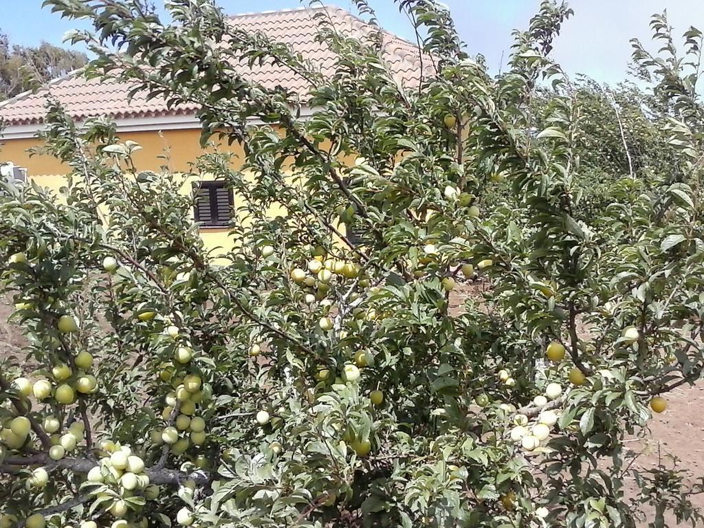 Casa Fatima บาเญ กรันเรย์ ห้อง รูปภาพ
